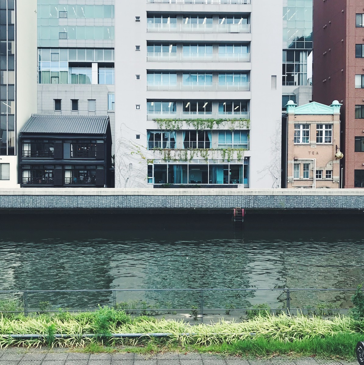 f:id:asacafe:20190910091956j:plain f:id:asacafe:20190910091956j:plain