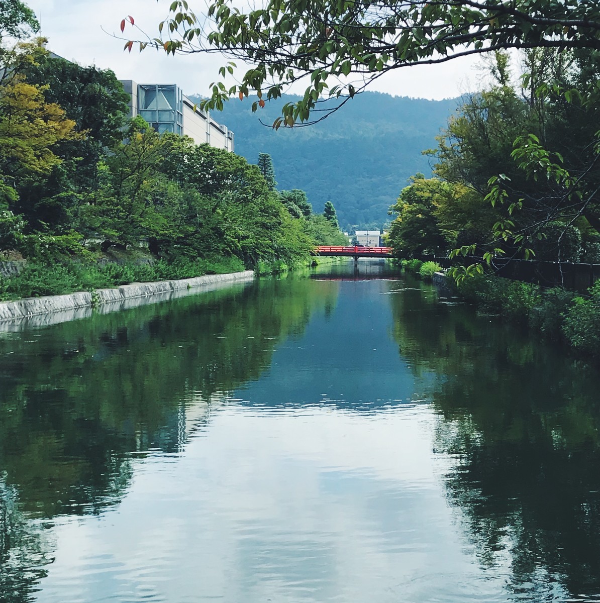 f:id:asacafe:20190910160515j:plain f:id:asacafe:20190910160515j:plain