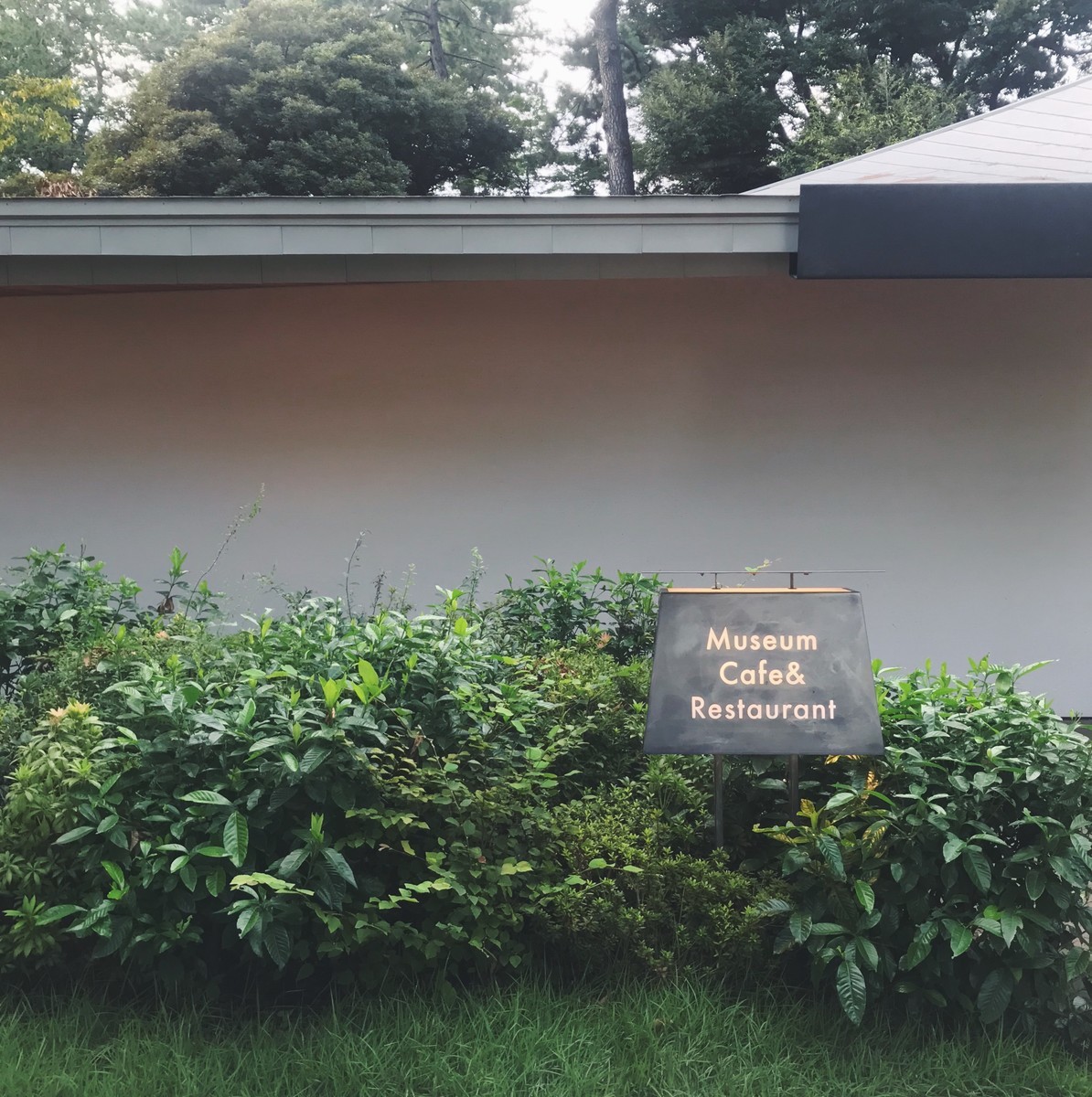 f:id:asacafe:20190924021805j:plain f:id:asacafe:20190924021805j:plain