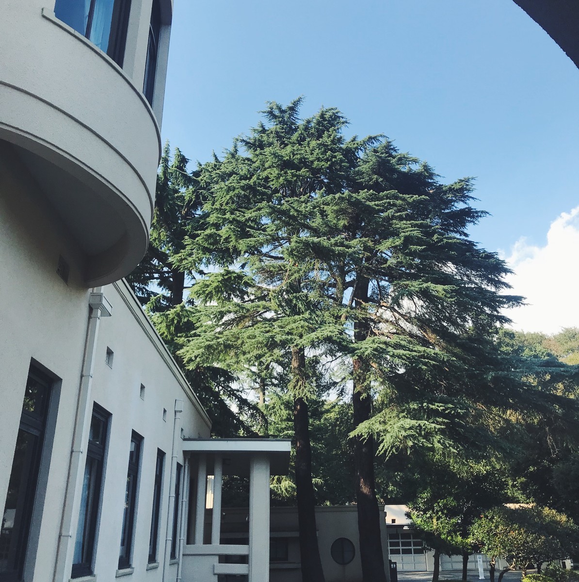 f:id:asacafe:20191002202750j:plain f:id:asacafe:20191002202750j:plain