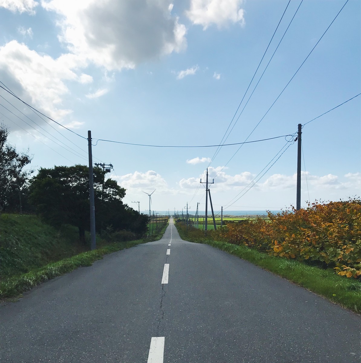 f:id:asacafe:20191009152325j:plain f:id:asacafe:20191009152325j:plain