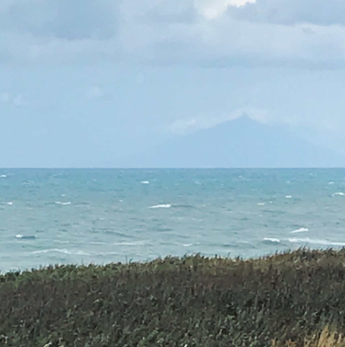 f:id:asacafe:20191009153907j:plain f:id:asacafe:20191009153907j:plain