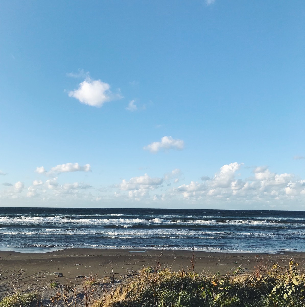 f:id:asacafe:20191009170255j:plain f:id:asacafe:20191009170255j:plain