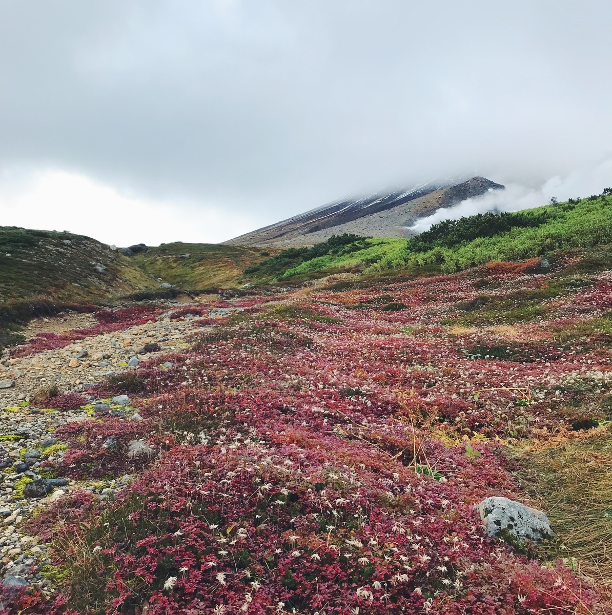f:id:asacafe:20191010002835j:plain f:id:asacafe:20191010002835j:plain