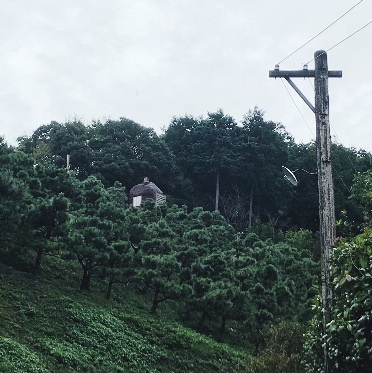 f:id:asacafe:20191101124814j:plain f:id:asacafe:20191101124814j:plain