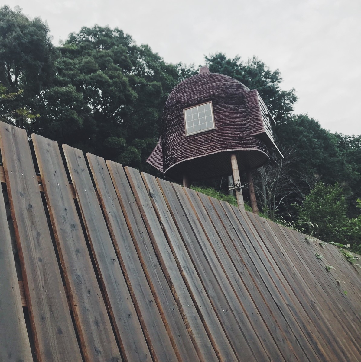 f:id:asacafe:20191101124924j:plain f:id:asacafe:20191101124924j:plain