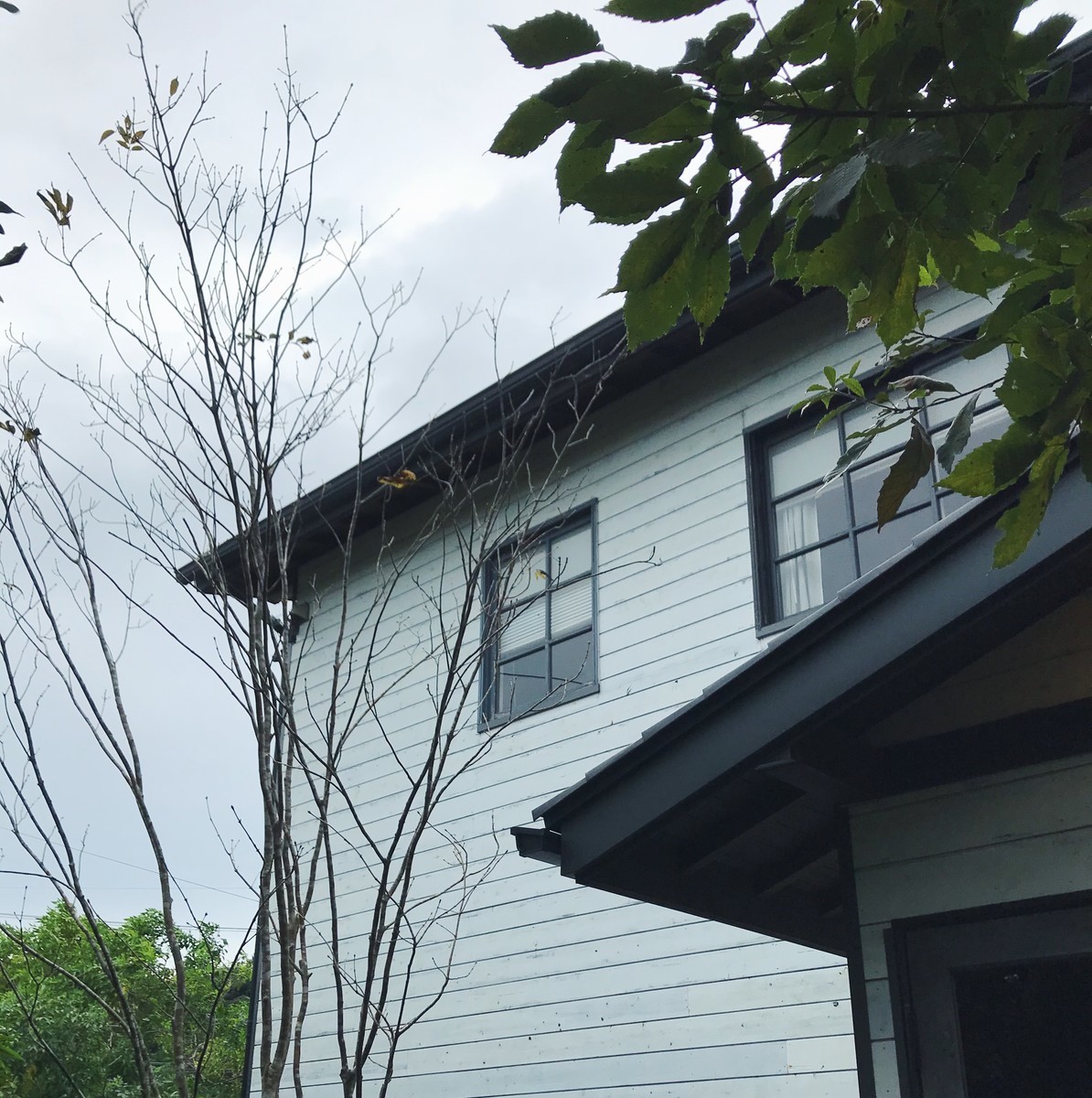 f:id:asacafe:20191103220811j:plain f:id:asacafe:20191103220811j:plain
