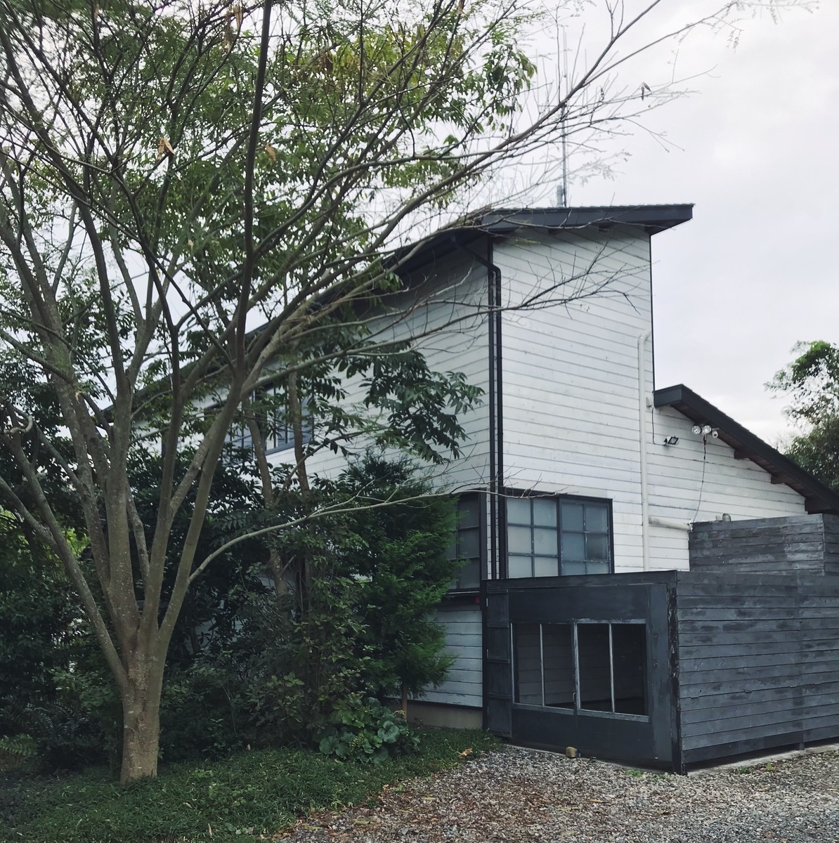 f:id:asacafe:20191103223355j:plain f:id:asacafe:20191103223355j:plain