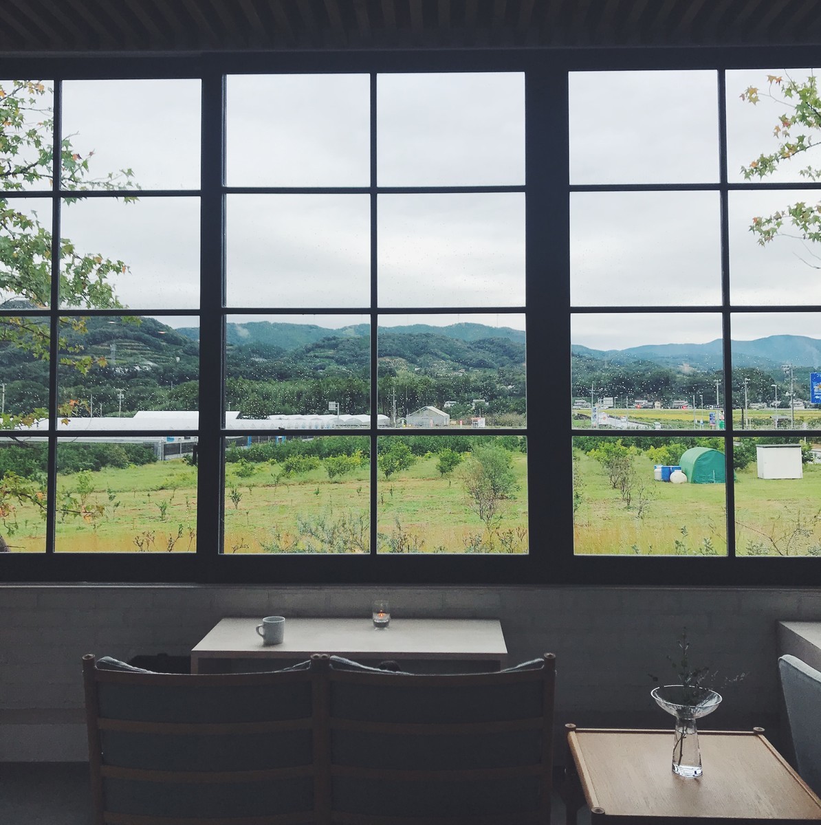 f:id:asacafe:20191106110318j:plain f:id:asacafe:20191106110318j:plain