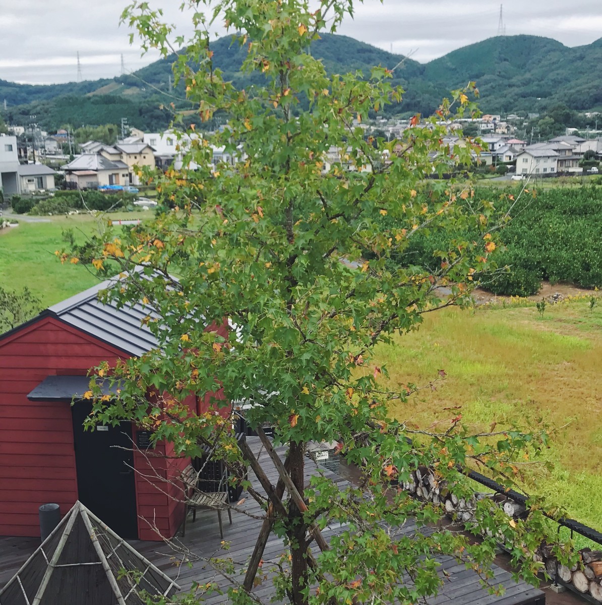 f:id:asacafe:20191106111400j:plain f:id:asacafe:20191106111400j:plain