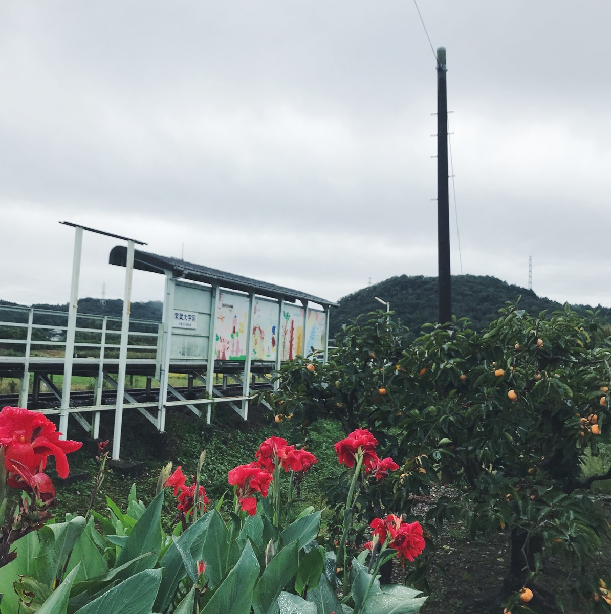 f:id:asacafe:20191106134039j:plain f:id:asacafe:20191106134039j:plain
