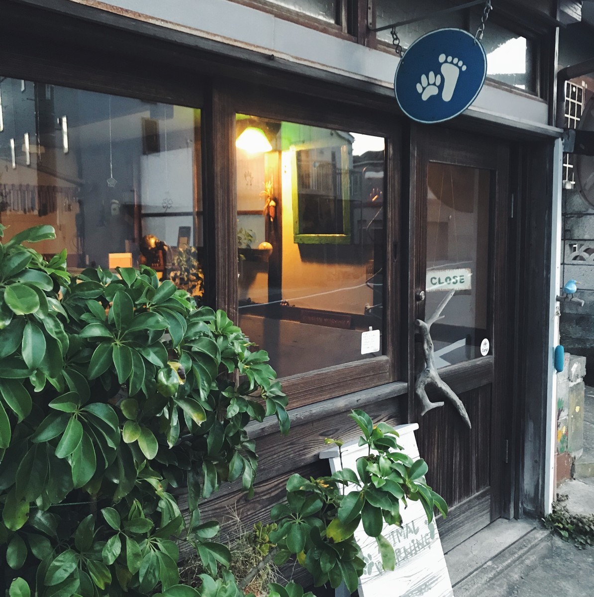f:id:asacafe:20191120123956j:plain f:id:asacafe:20191120123956j:plain