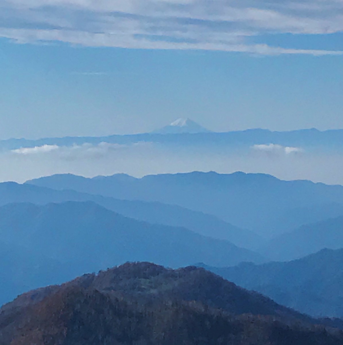 f:id:asacafe:20191121081948j:plain f:id:asacafe:20191121081948j:plain