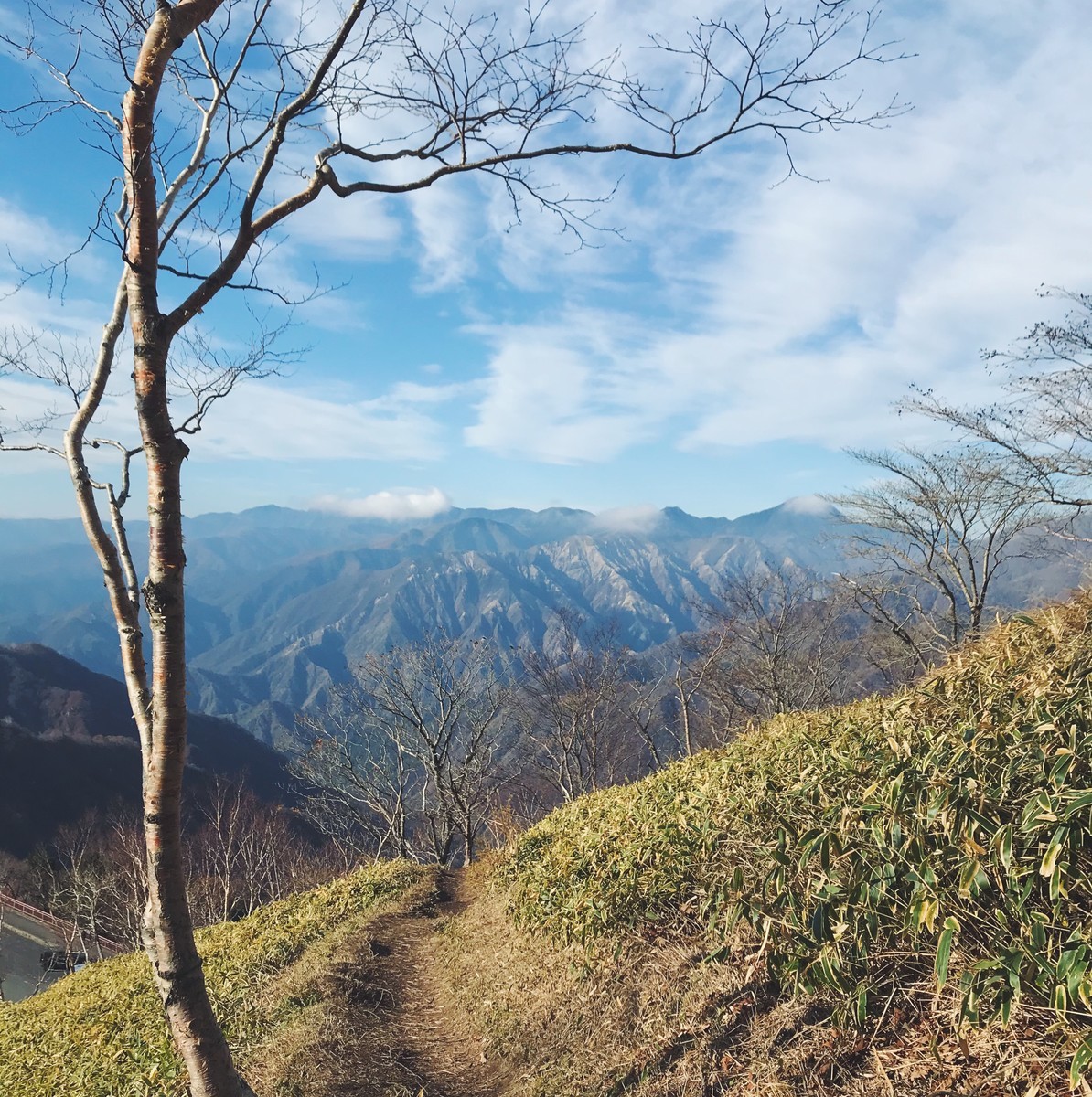 f:id:asacafe:20191124161646j:plain f:id:asacafe:20191124161646j:plain