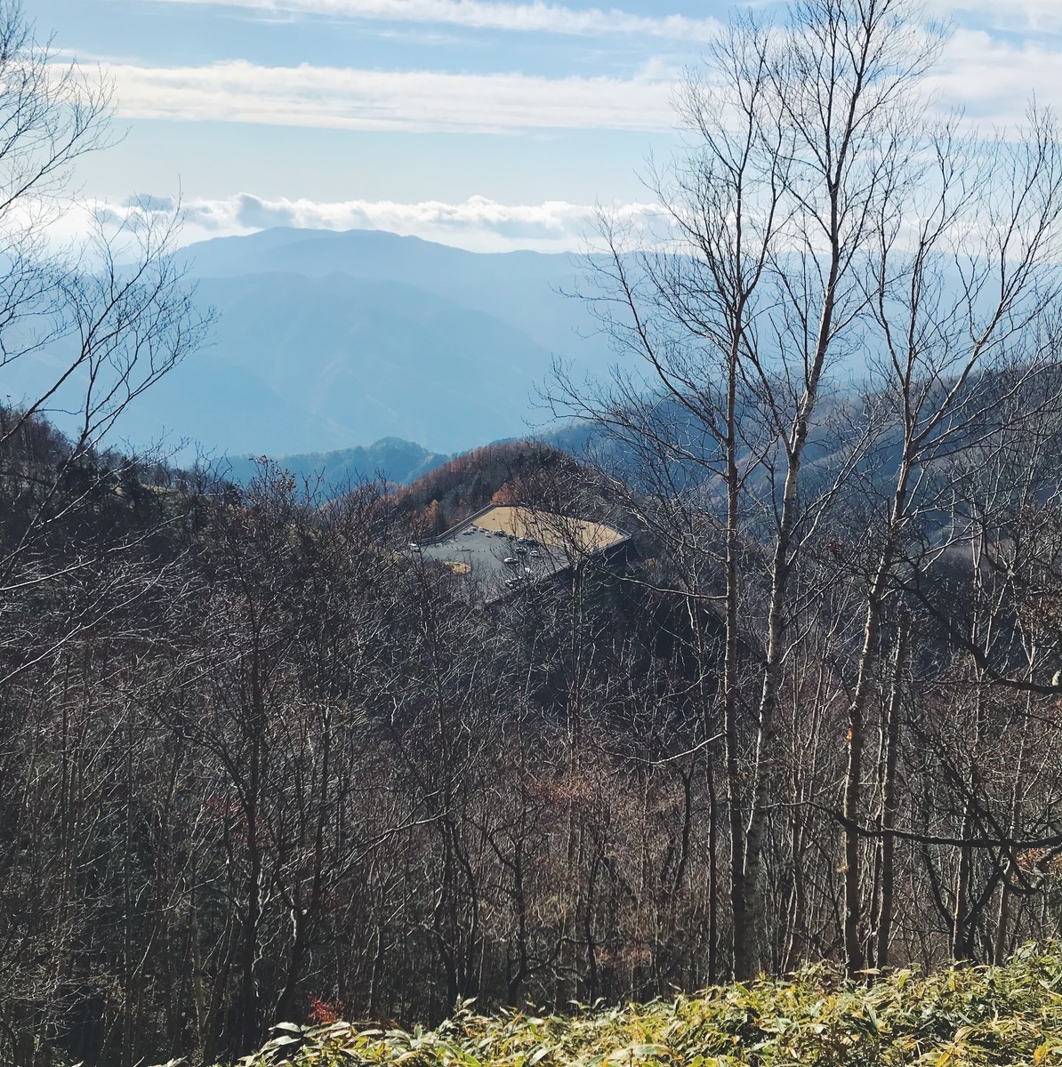 f:id:asacafe:20191124161856j:plain f:id:asacafe:20191124161856j:plain