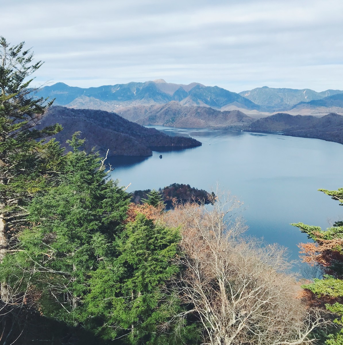 f:id:asacafe:20191125014526j:plain f:id:asacafe:20191125014526j:plain