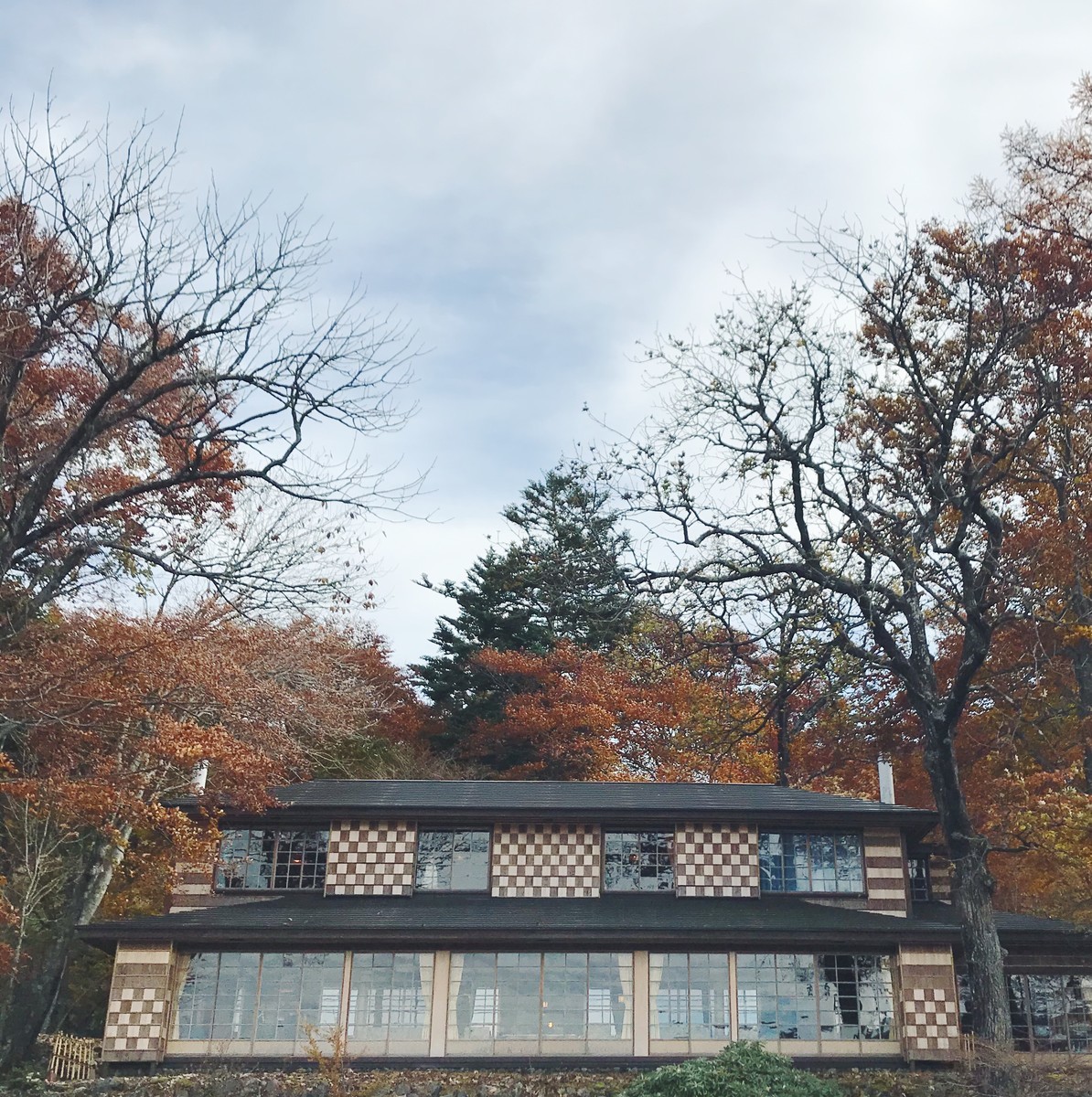 f:id:asacafe:20191129145053j:plain f:id:asacafe:20191129145053j:plain