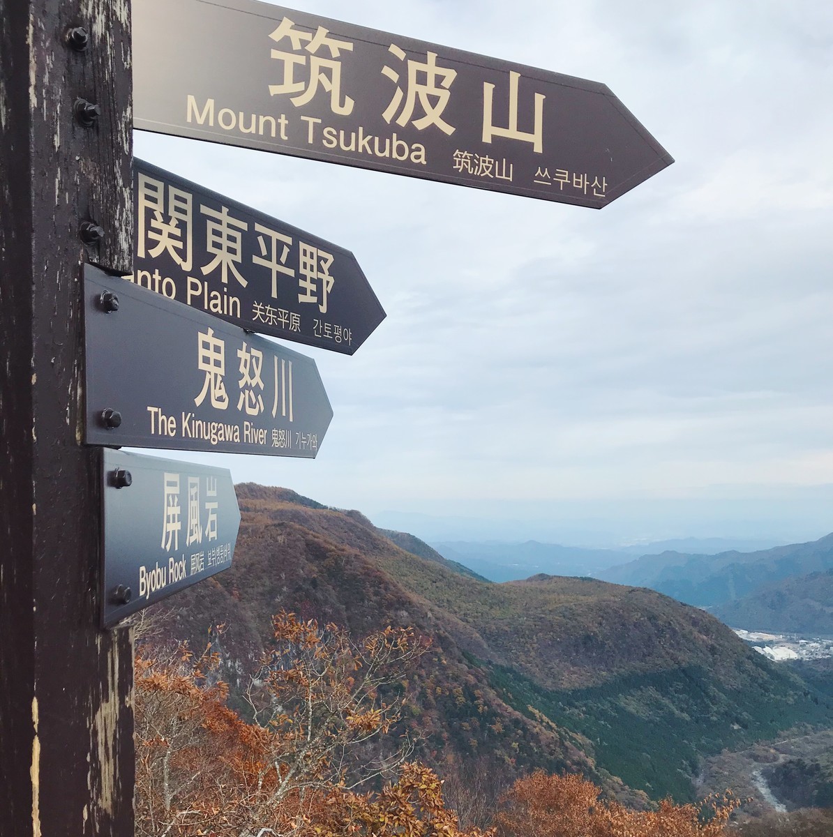f:id:asacafe:20191129152944j:plain f:id:asacafe:20191129152944j:plain