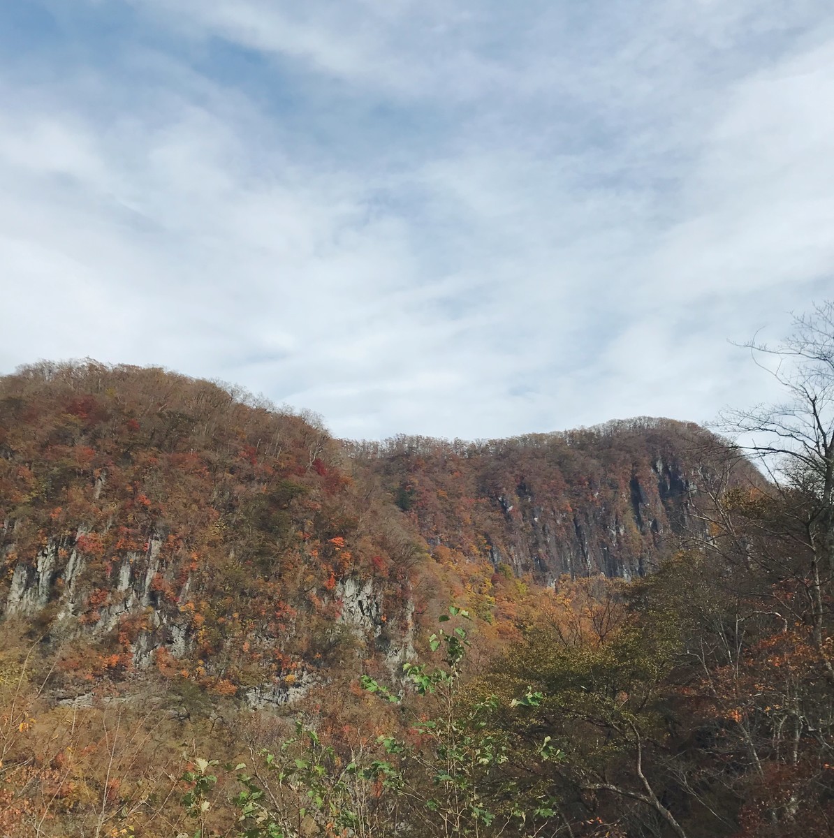 f:id:asacafe:20191129153130j:plain f:id:asacafe:20191129153130j:plain
