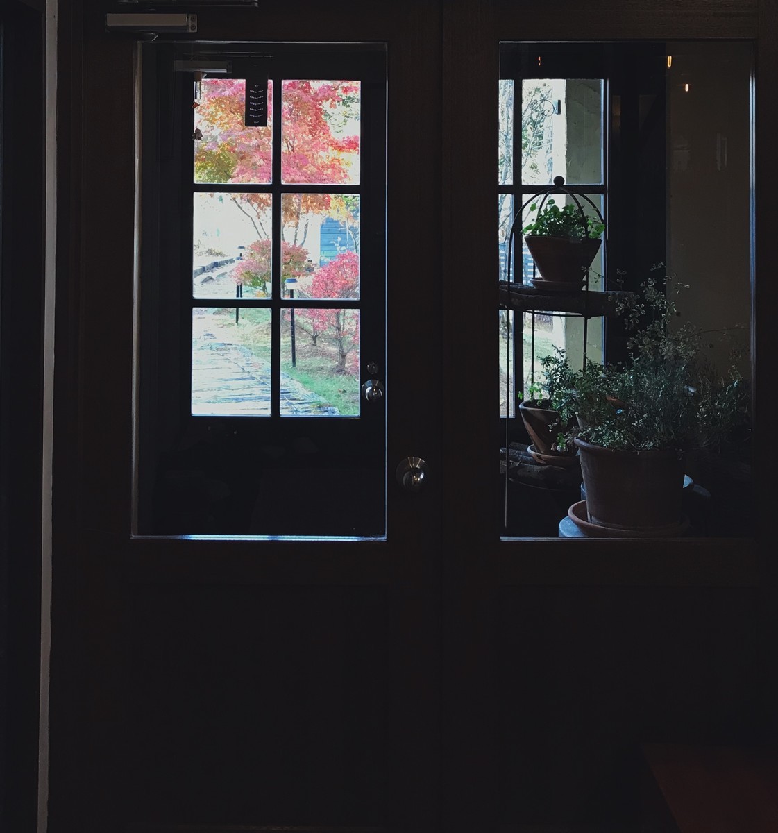 f:id:asacafe:20191204014412j:plain f:id:asacafe:20191204014412j:plain