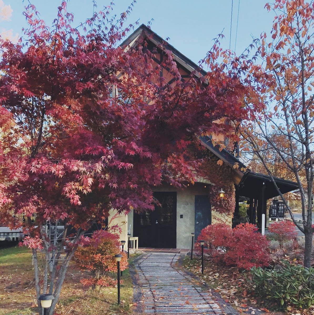 f:id:asacafe:20191204021314j:plain f:id:asacafe:20191204021314j:plain