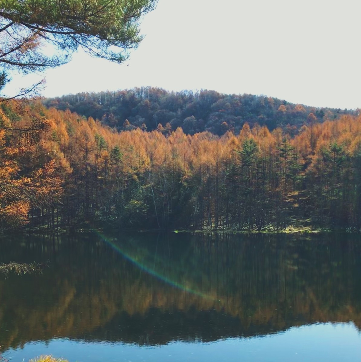 f:id:asacafe:20191204103504j:plain f:id:asacafe:20191204103504j:plain