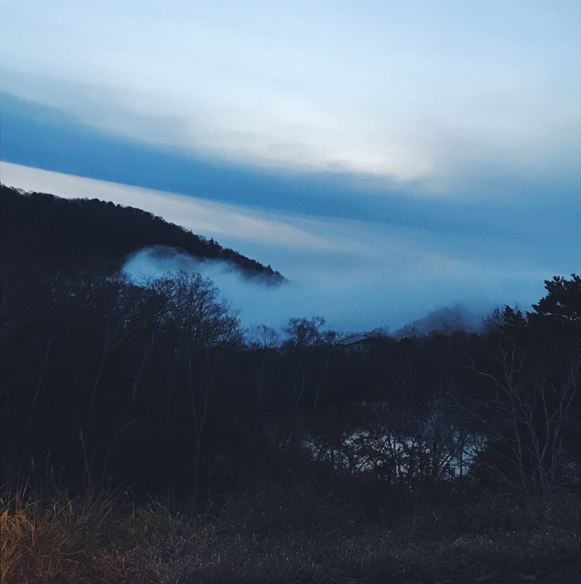 f:id:asacafe:20191204201215j:plain f:id:asacafe:20191204201215j:plain