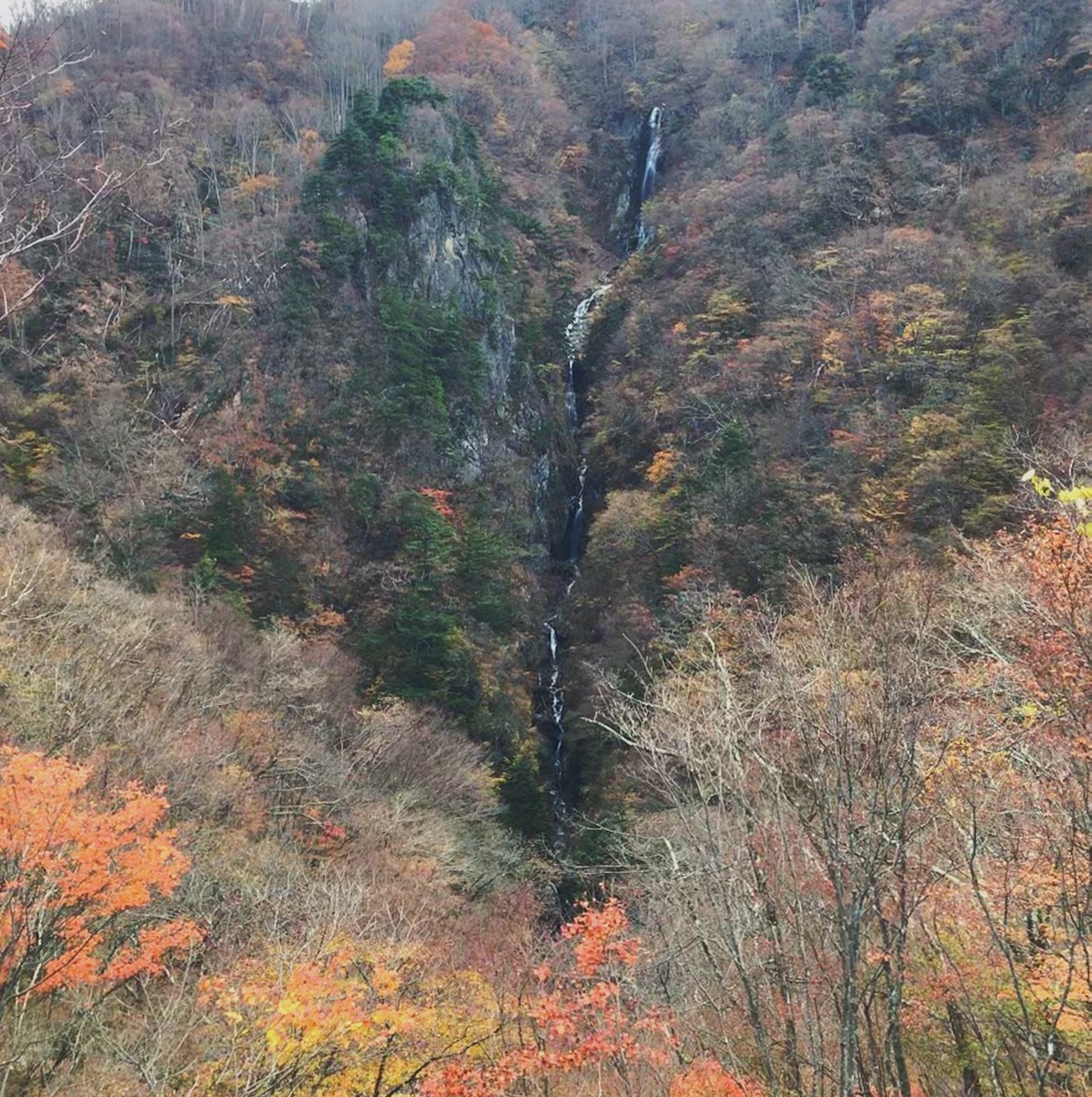 f:id:asacafe:20191205102526j:plain f:id:asacafe:20191205102526j:plain
