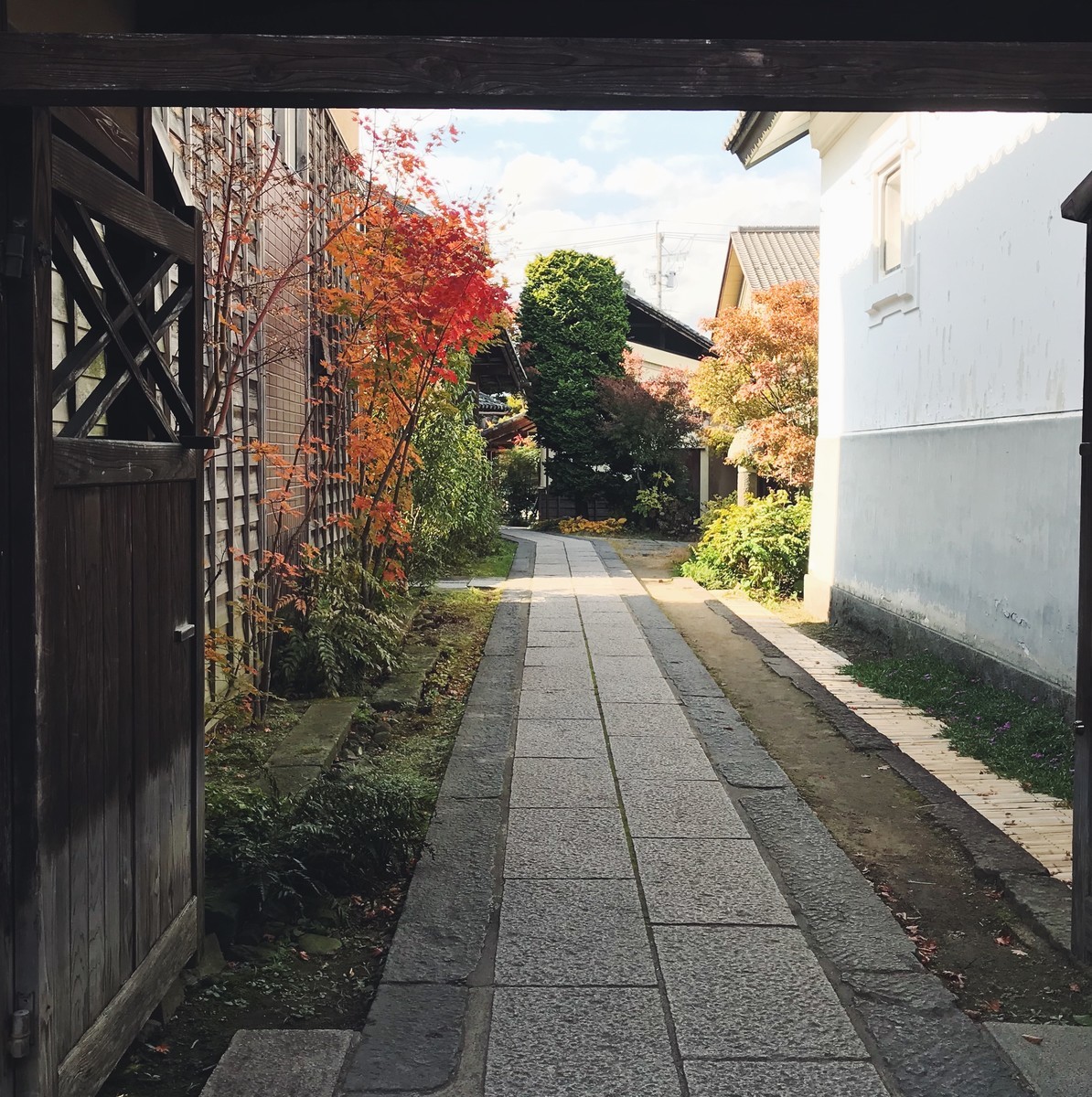 f:id:asacafe:20191205113424j:plain f:id:asacafe:20191205113424j:plain