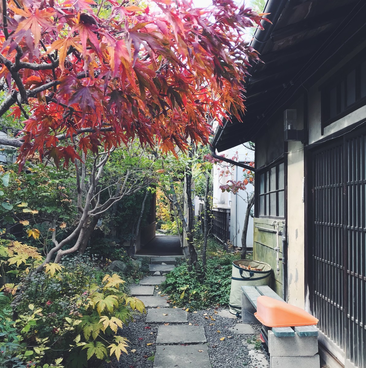 f:id:asacafe:20191205115336j:plain f:id:asacafe:20191205115336j:plain