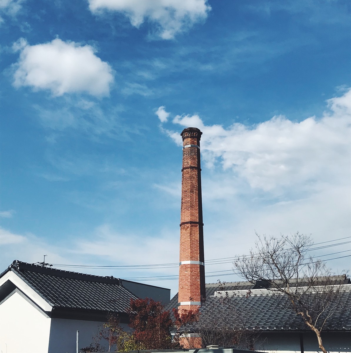f:id:asacafe:20191205123049j:plain f:id:asacafe:20191205123049j:plain
