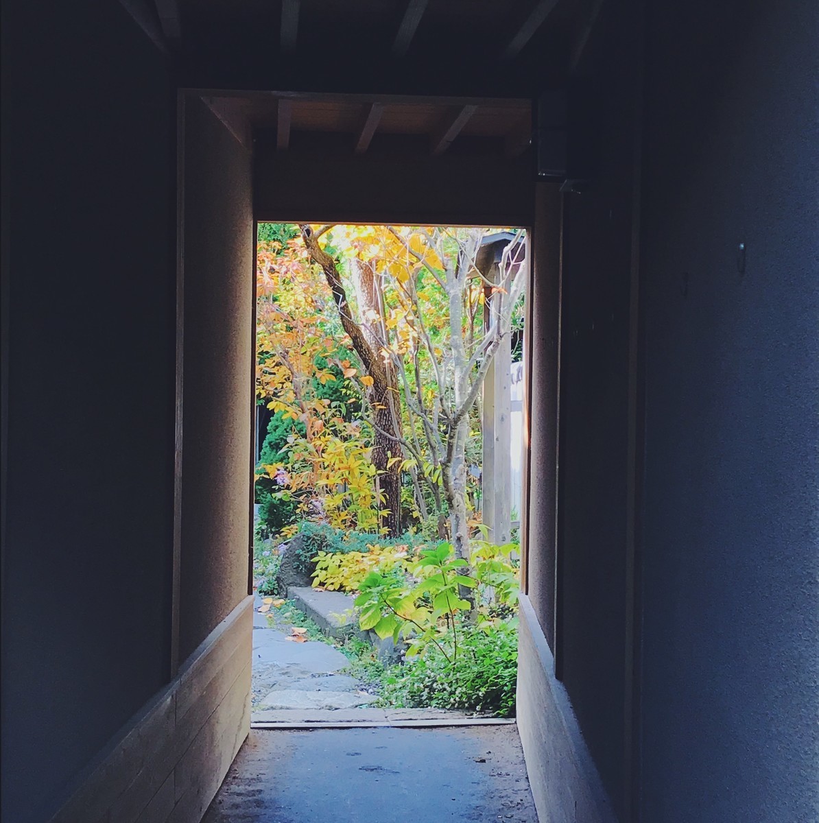 f:id:asacafe:20191205123208j:plain f:id:asacafe:20191205123208j:plain