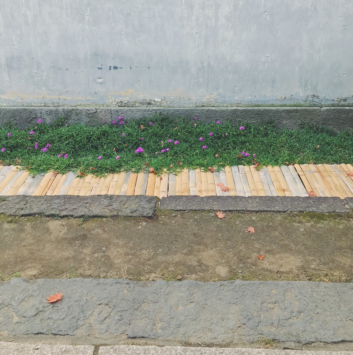 f:id:asacafe:20191205123329j:plain f:id:asacafe:20191205123329j:plain
