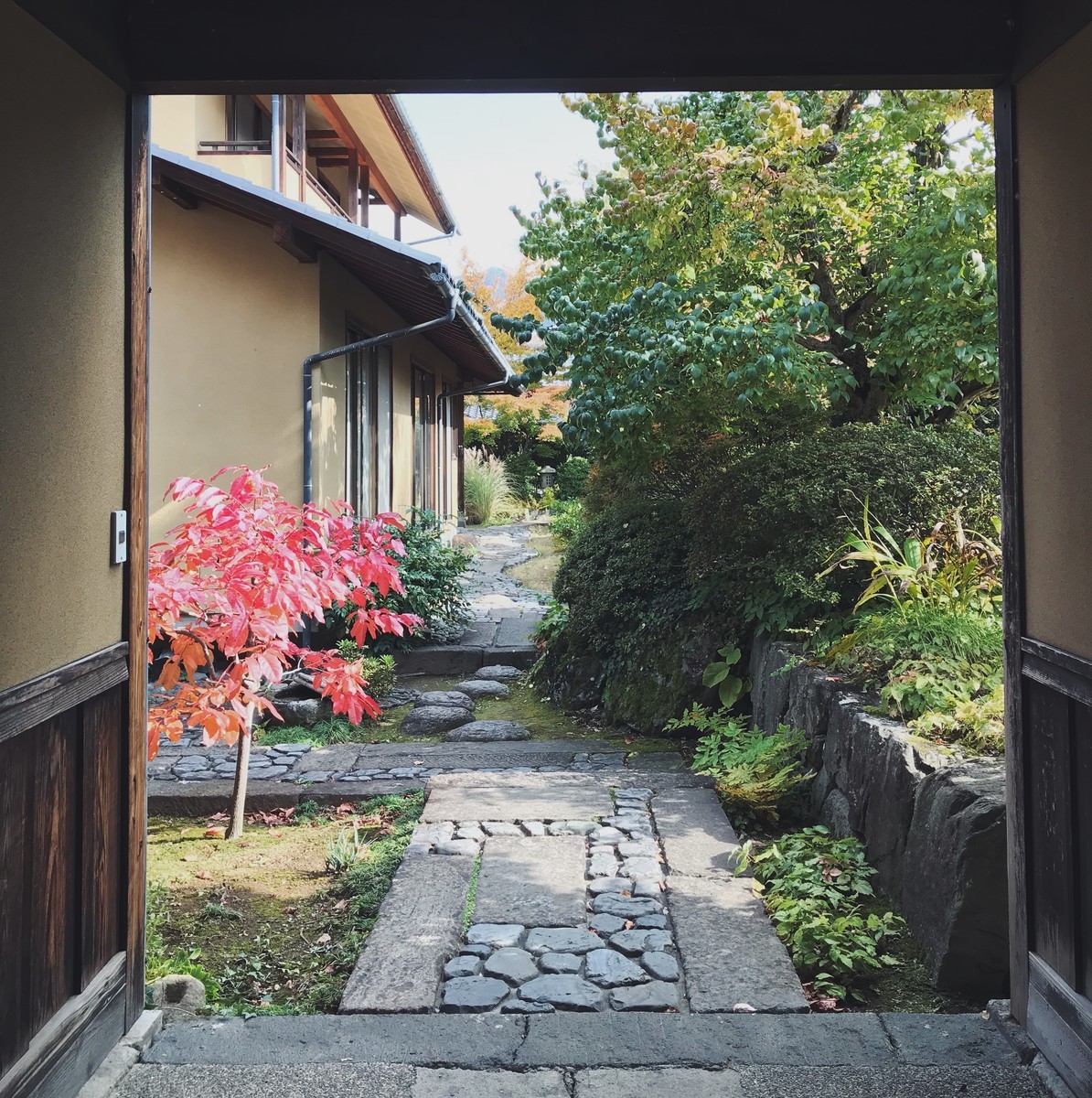 f:id:asacafe:20191205123822j:plain f:id:asacafe:20191205123822j:plain