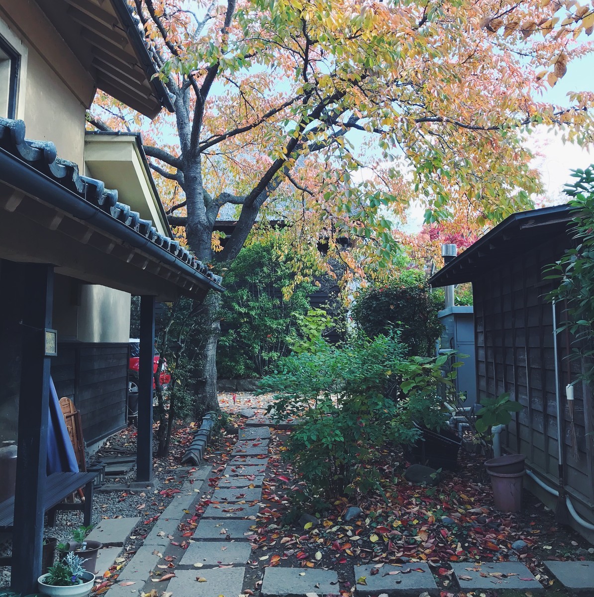 f:id:asacafe:20191206061203j:plain f:id:asacafe:20191206061203j:plain
