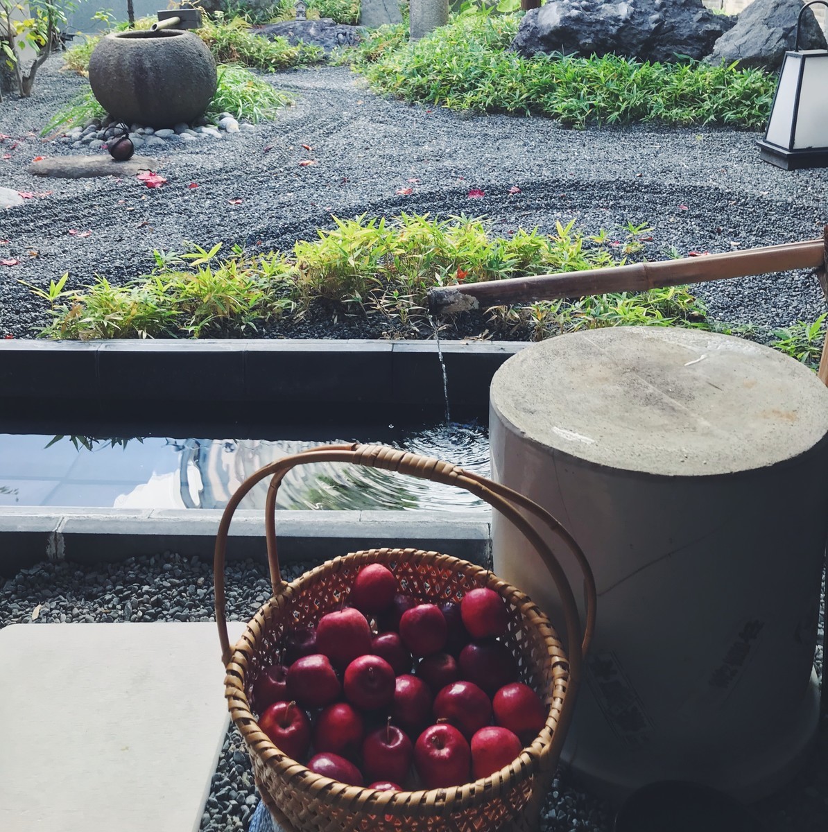 f:id:asacafe:20191207102819j:plain f:id:asacafe:20191207102819j:plain