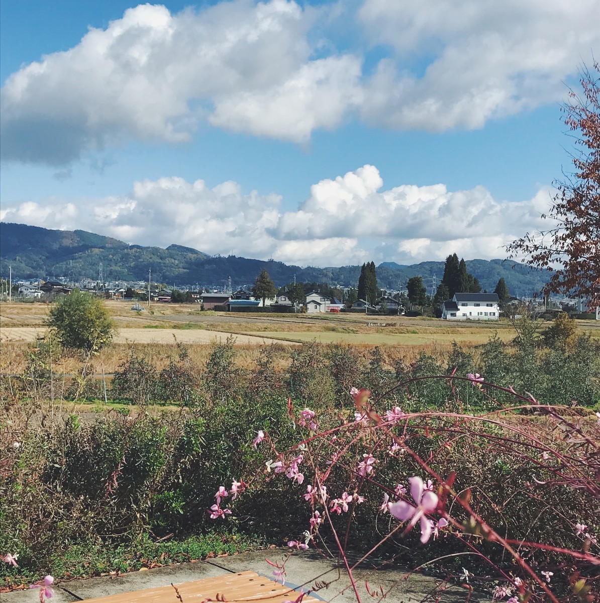 f:id:asacafe:20191207131800j:plain f:id:asacafe:20191207131800j:plain