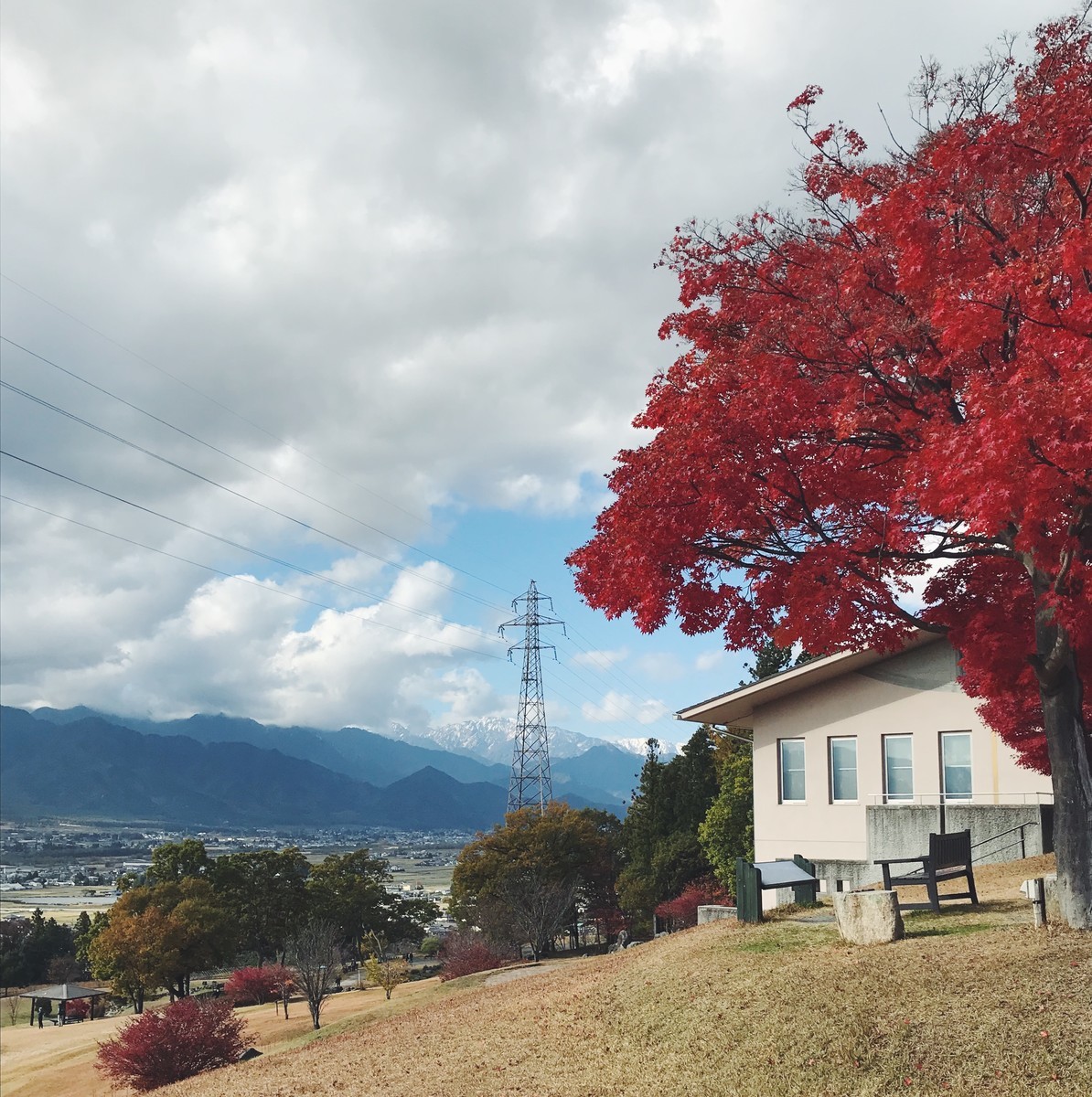 f:id:asacafe:20191207142013j:plain f:id:asacafe:20191207142013j:plain