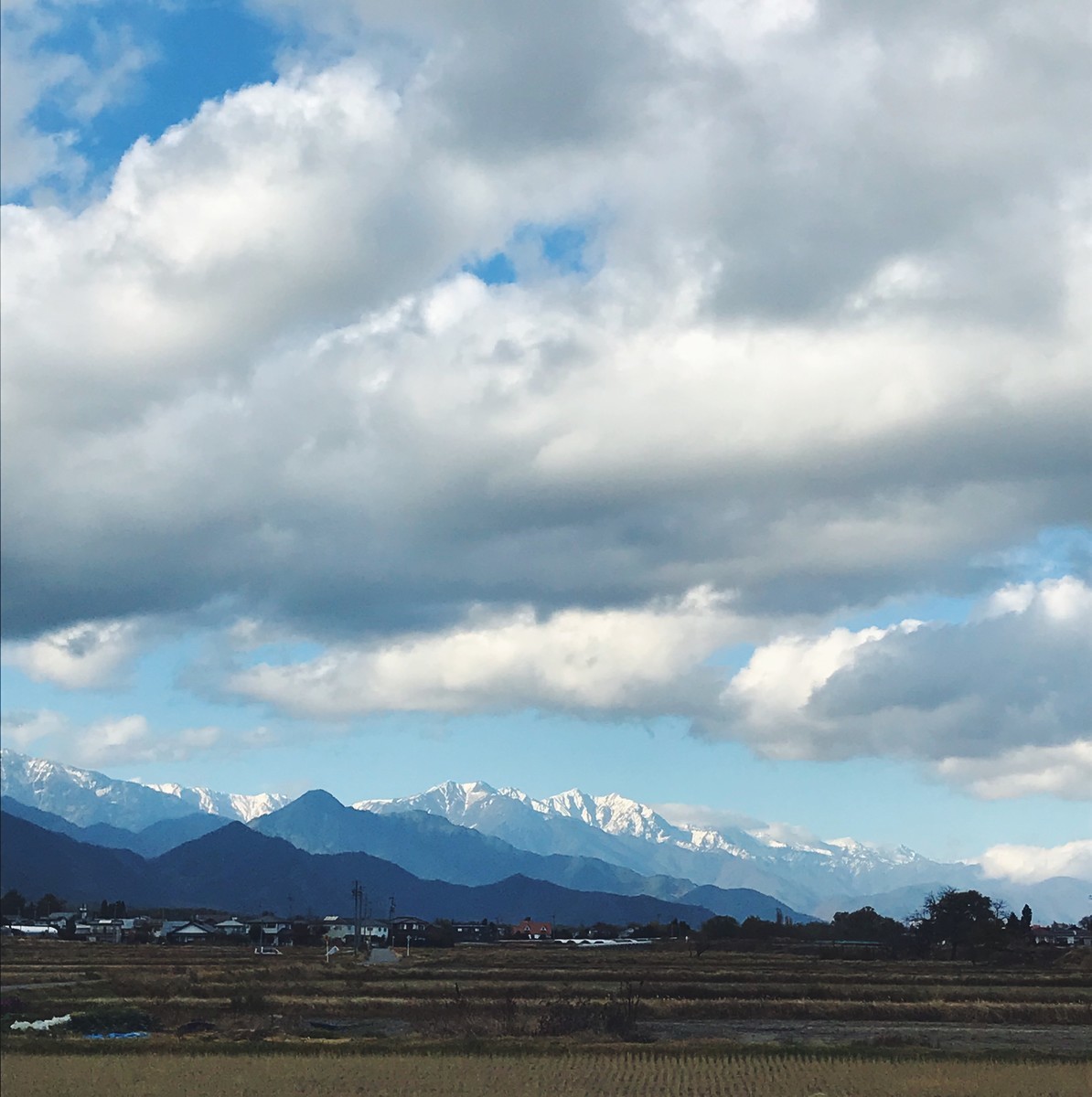 f:id:asacafe:20191207185813j:plain f:id:asacafe:20191207185813j:plain