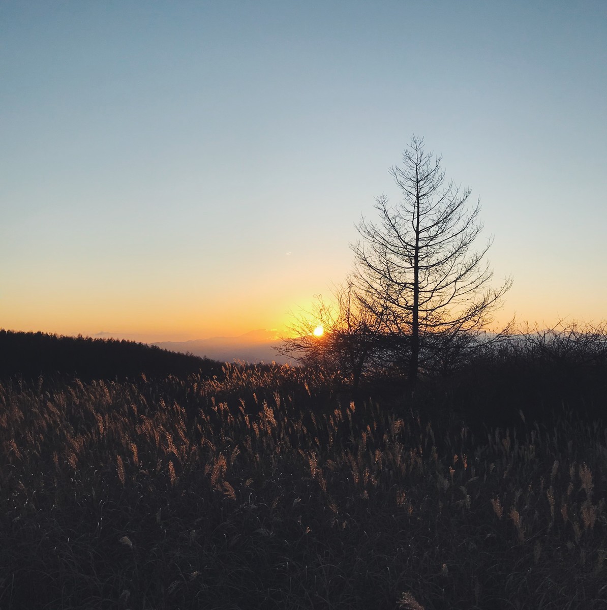 f:id:asacafe:20191207192034j:plain f:id:asacafe:20191207192034j:plain