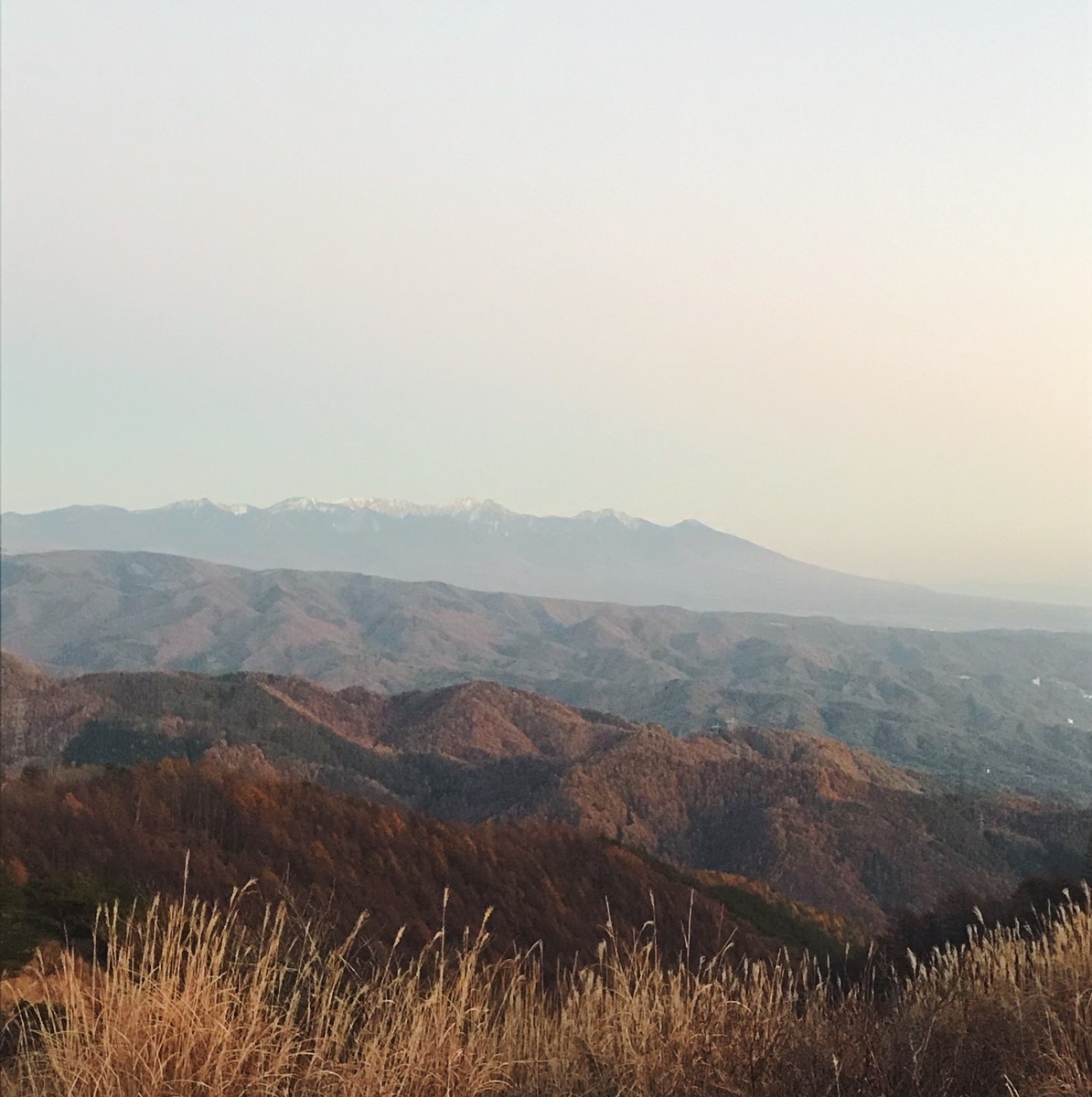 f:id:asacafe:20191207193335j:plain f:id:asacafe:20191207193335j:plain