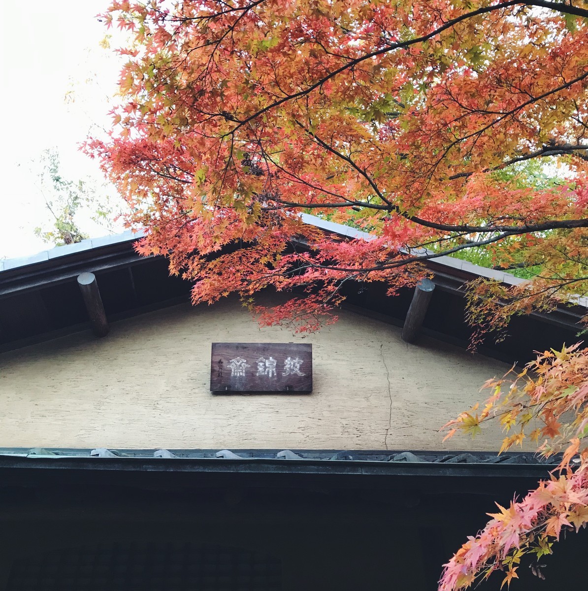 f:id:asacafe:20191207231526j:plain f:id:asacafe:20191207231526j:plain
