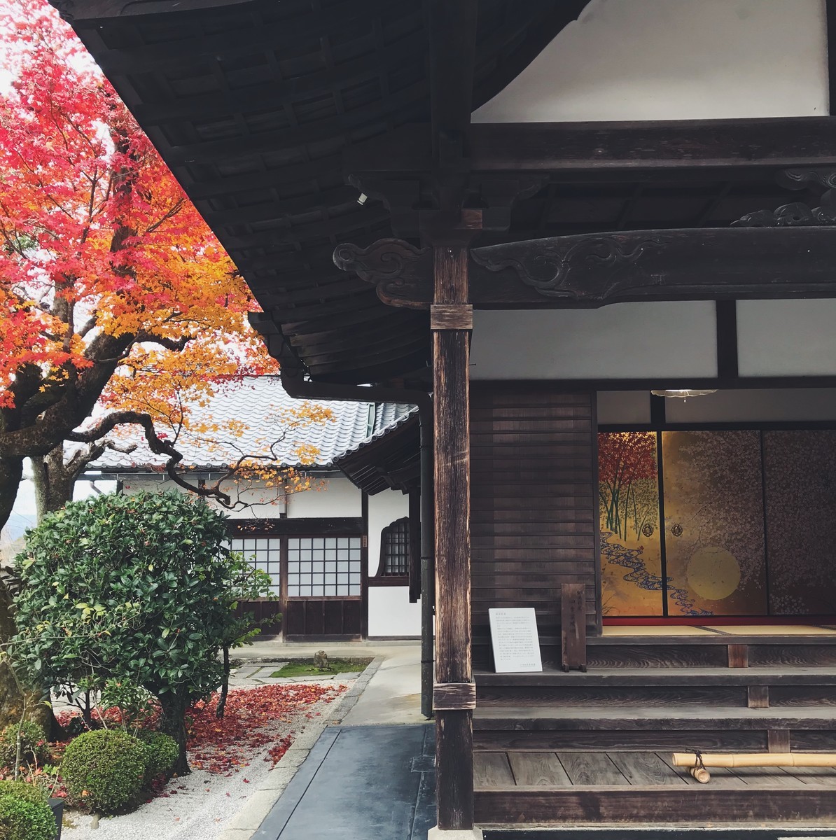 f:id:asacafe:20191210172427j:plain f:id:asacafe:20191210172427j:plain
