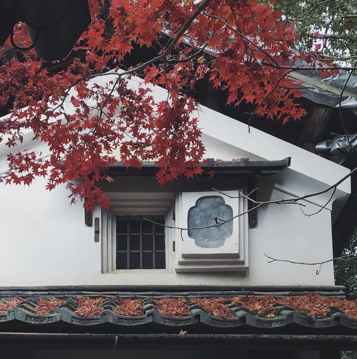 f:id:asacafe:20191210182706j:plain f:id:asacafe:20191210182706j:plain