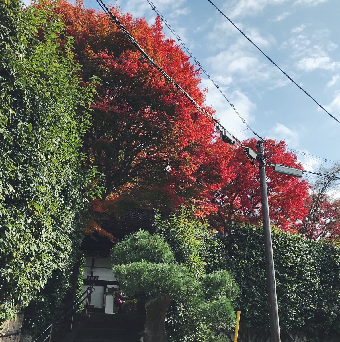 f:id:asacafe:20191210190235j:plain f:id:asacafe:20191210190235j:plain