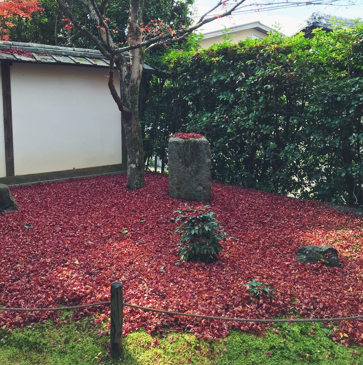 f:id:asacafe:20191210190334j:plain f:id:asacafe:20191210190334j:plain