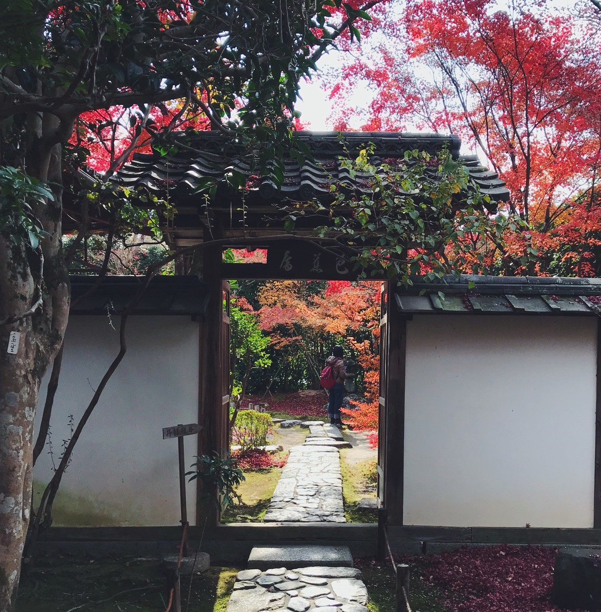 f:id:asacafe:20191210191630j:plain f:id:asacafe:20191210191630j:plain