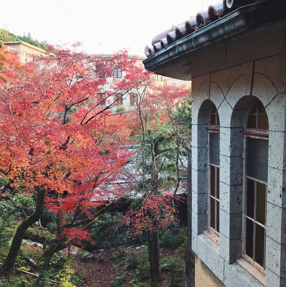 f:id:asacafe:20191210225543j:plain f:id:asacafe:20191210225543j:plain