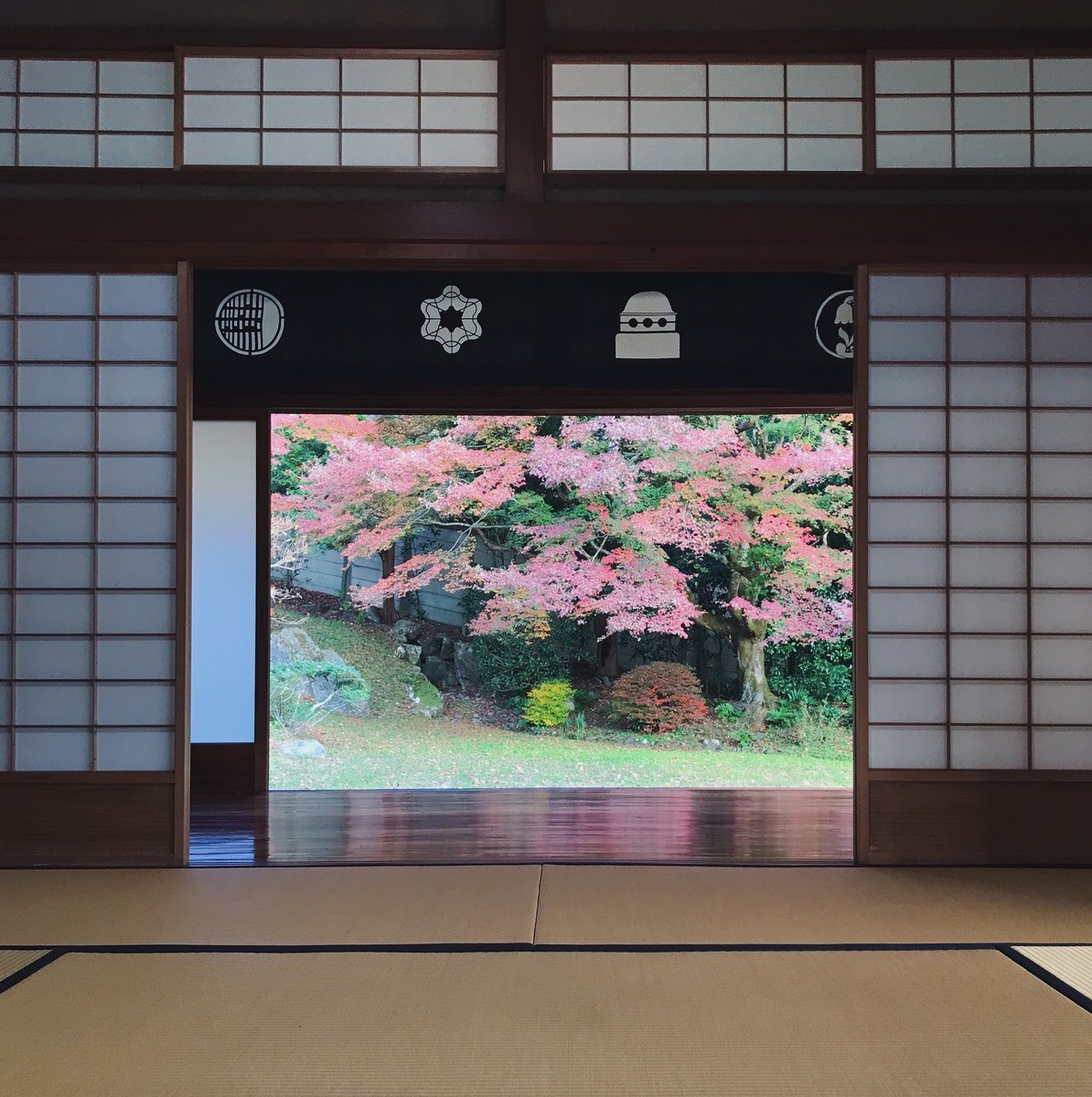 f:id:asacafe:20191210231004j:plain f:id:asacafe:20191210231004j:plain