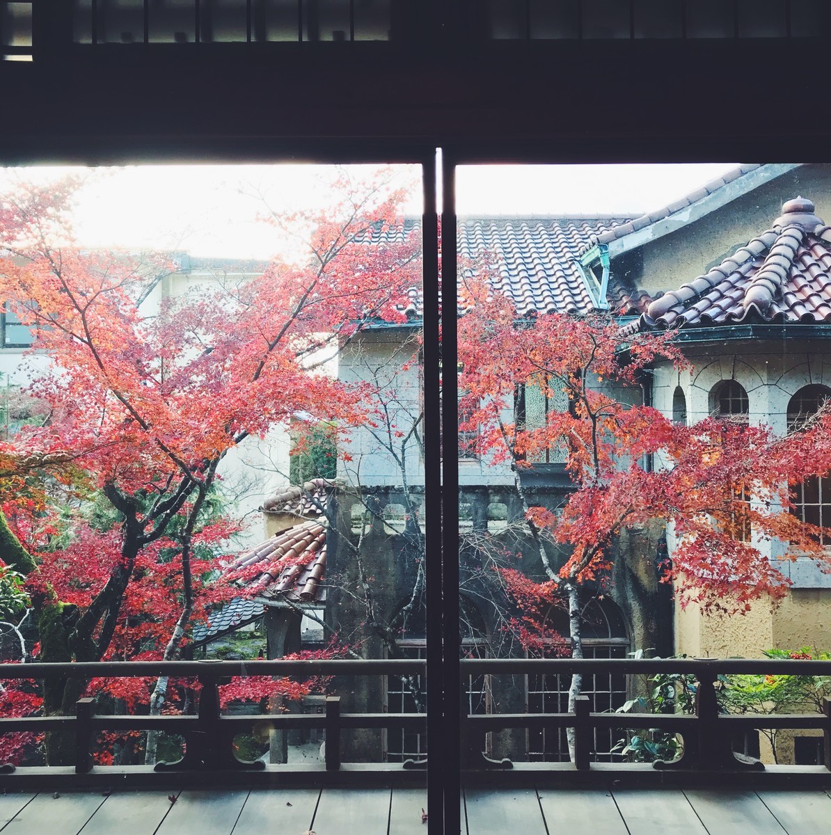 f:id:asacafe:20191210231104j:plain f:id:asacafe:20191210231104j:plain